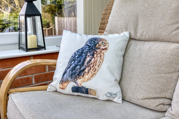 Cushions