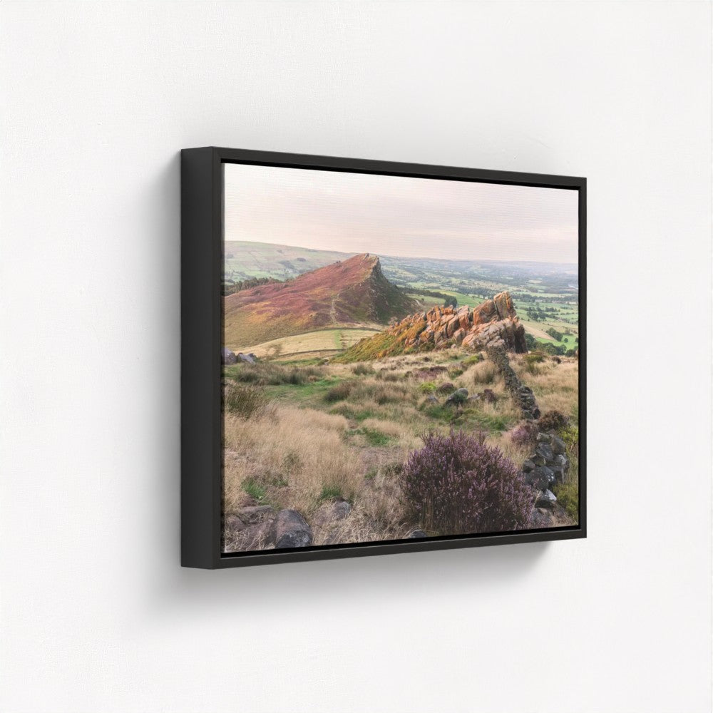 Heather on Hen Cloud, The Roaches - Print / Framed / Canvas Photographic Wall Art