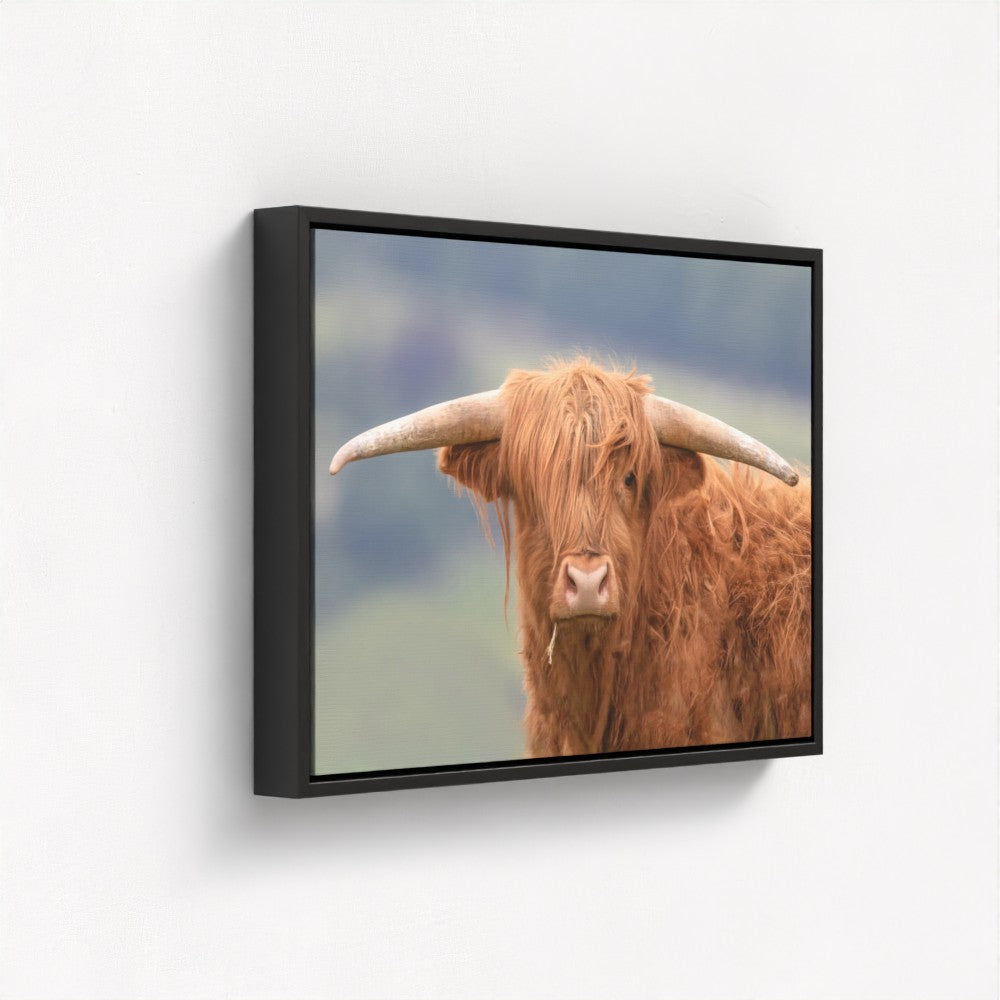 Highland Cow - Print / Framed / Canvas Photographic Wall Art
