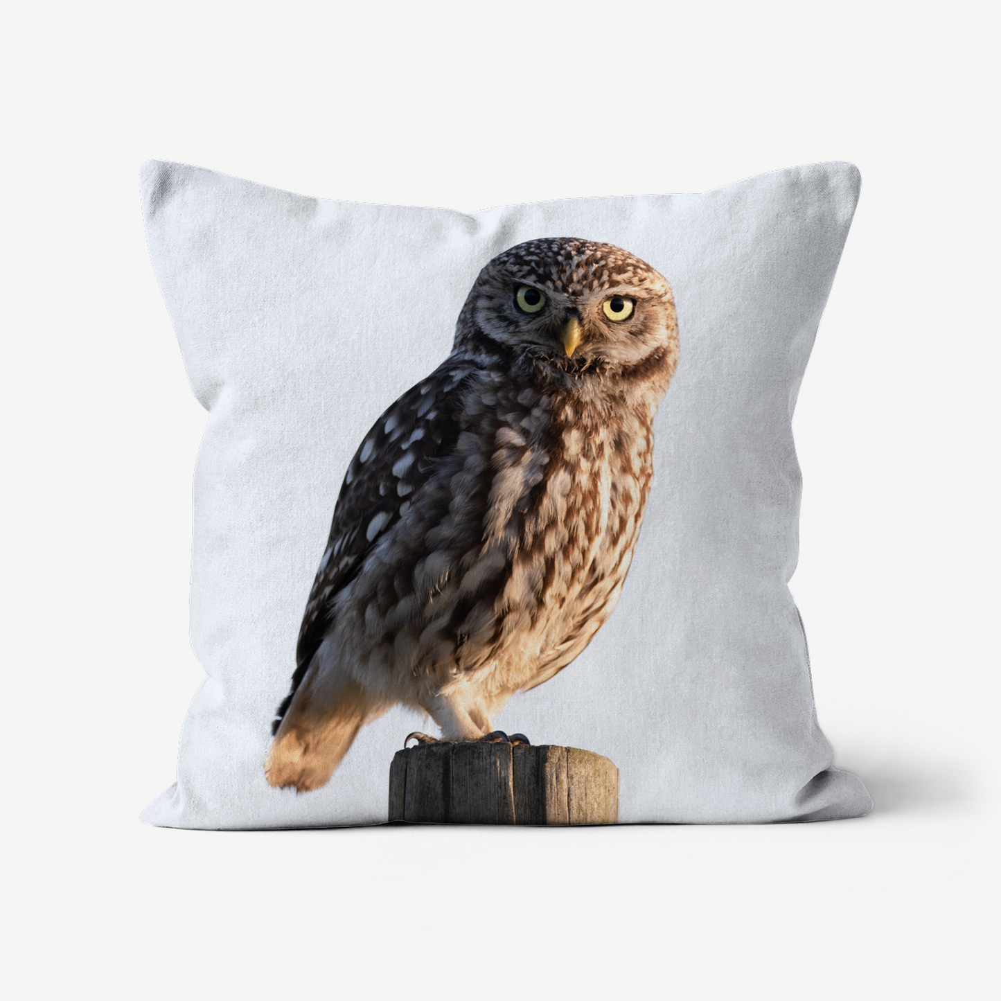 Little Owl - 46x46cm Double Sided Faux Canvas Cushion