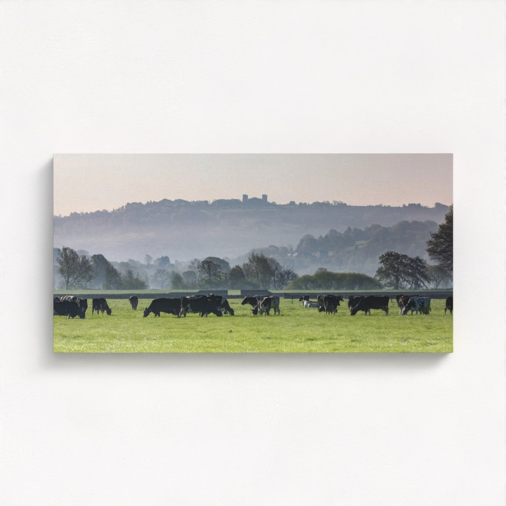 Riber Castle from Darley Dale - Panoramic Print / Framed / Canvas Photographic Wall Art