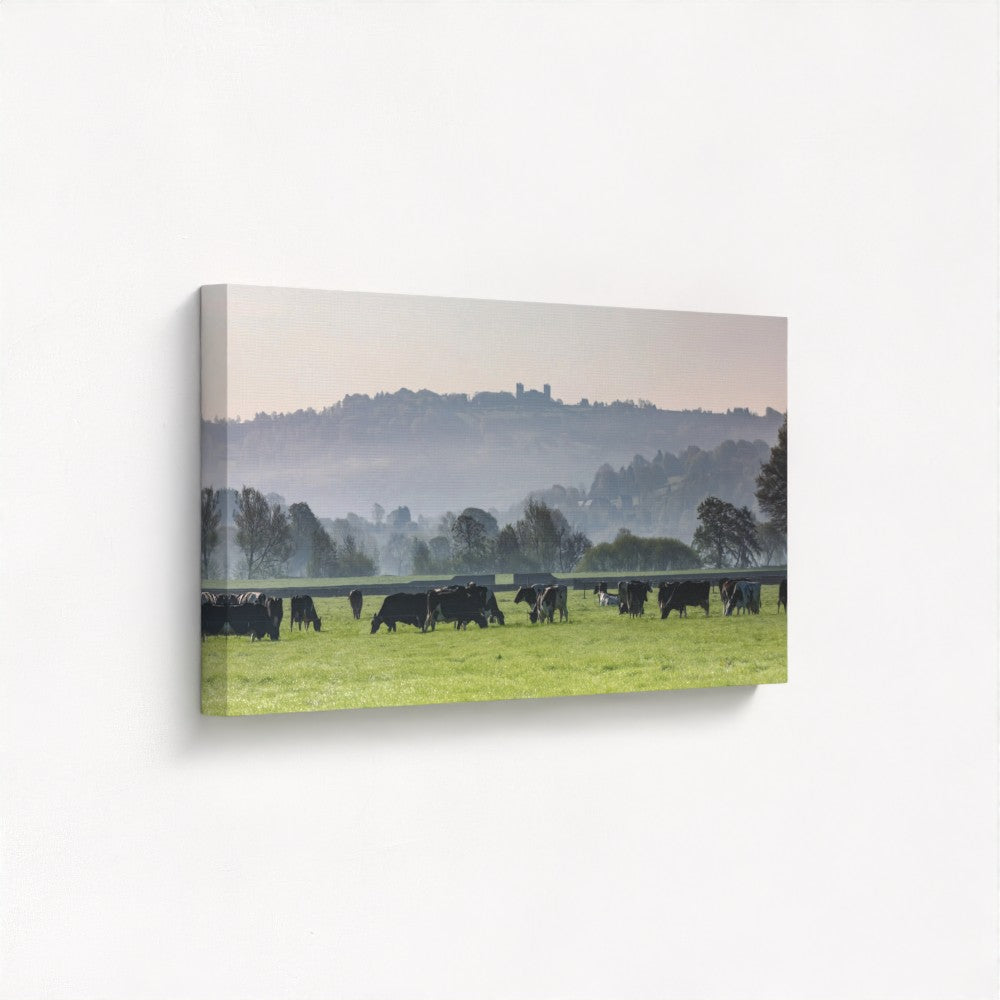 Riber Castle from Darley Dale - Panoramic Print / Framed / Canvas Photographic Wall Art