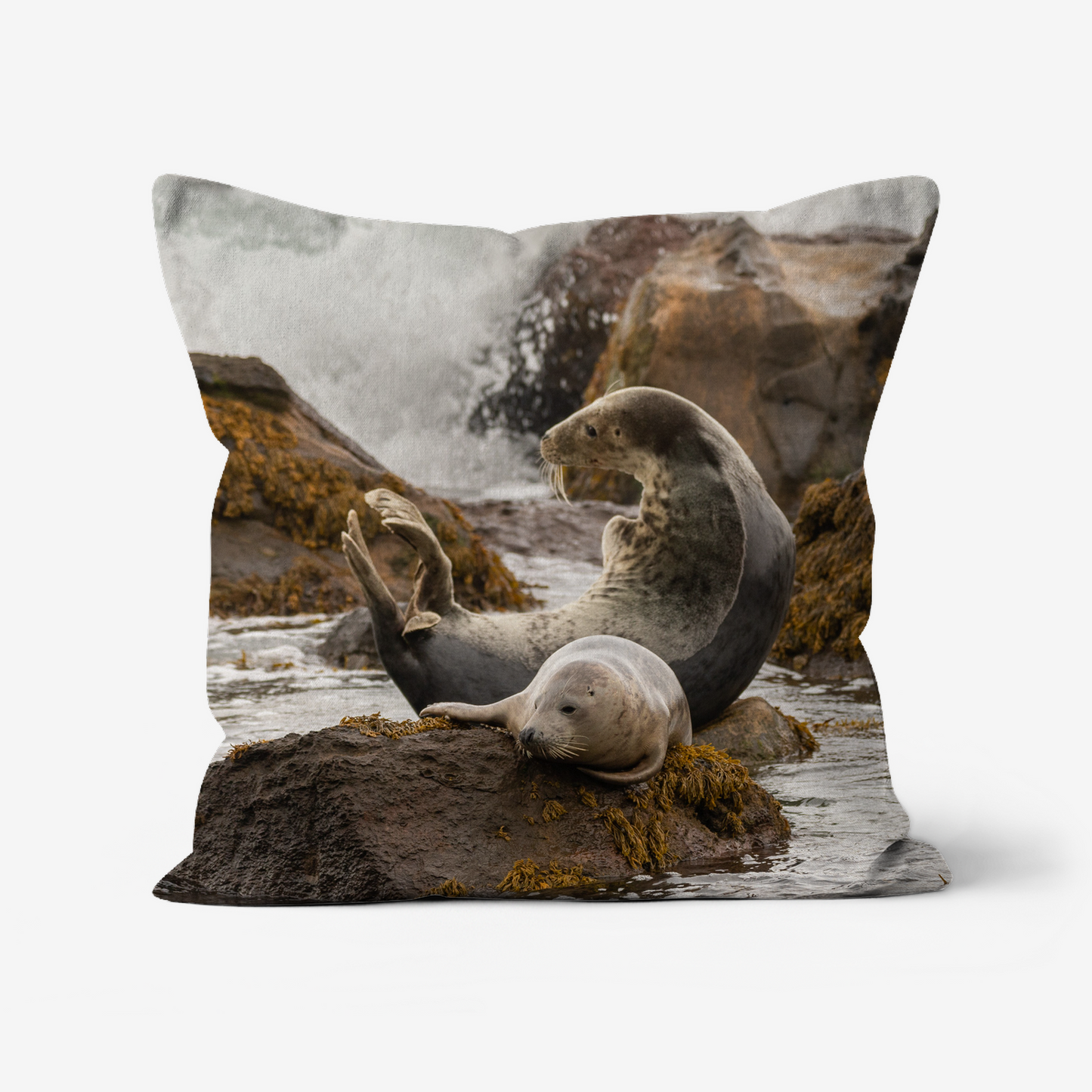Ravenscar Seals - 46x46cm Double Sided Faux Canvas Cushion