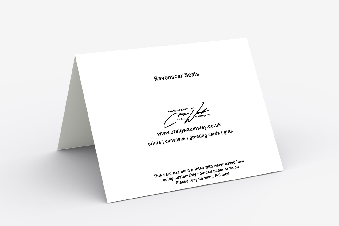 Ravenscar Seals - Blank Inside, A5 Greetings Card with Envelope