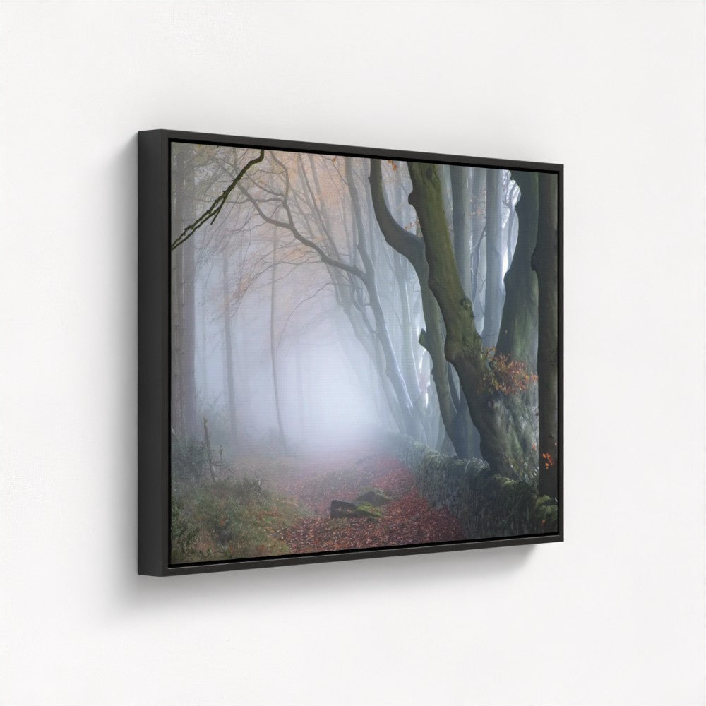 Misty Darwin Forest, Upper Moor, Peak District - Print / Framed / Canvas Photographic Wall Art