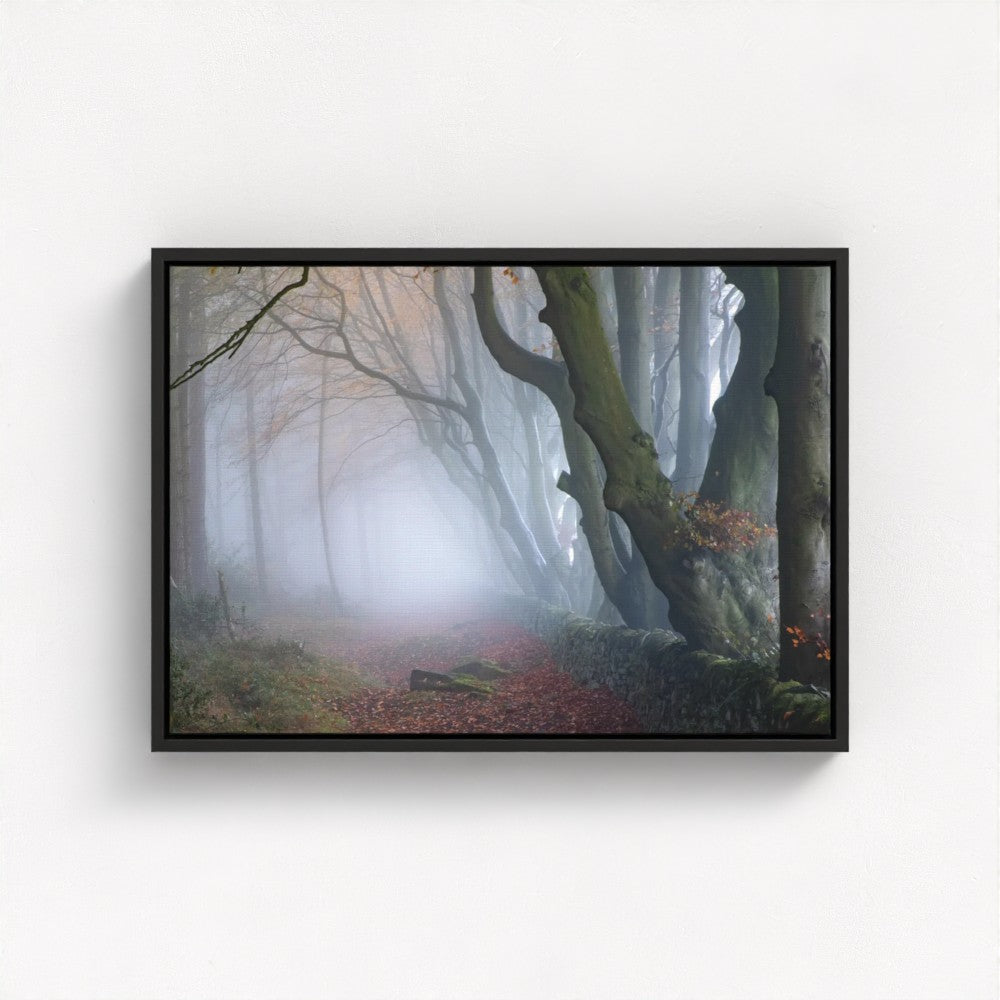 Misty Darwin Forest, Upper Moor, Peak District - Print / Framed / Canvas Photographic Wall Art