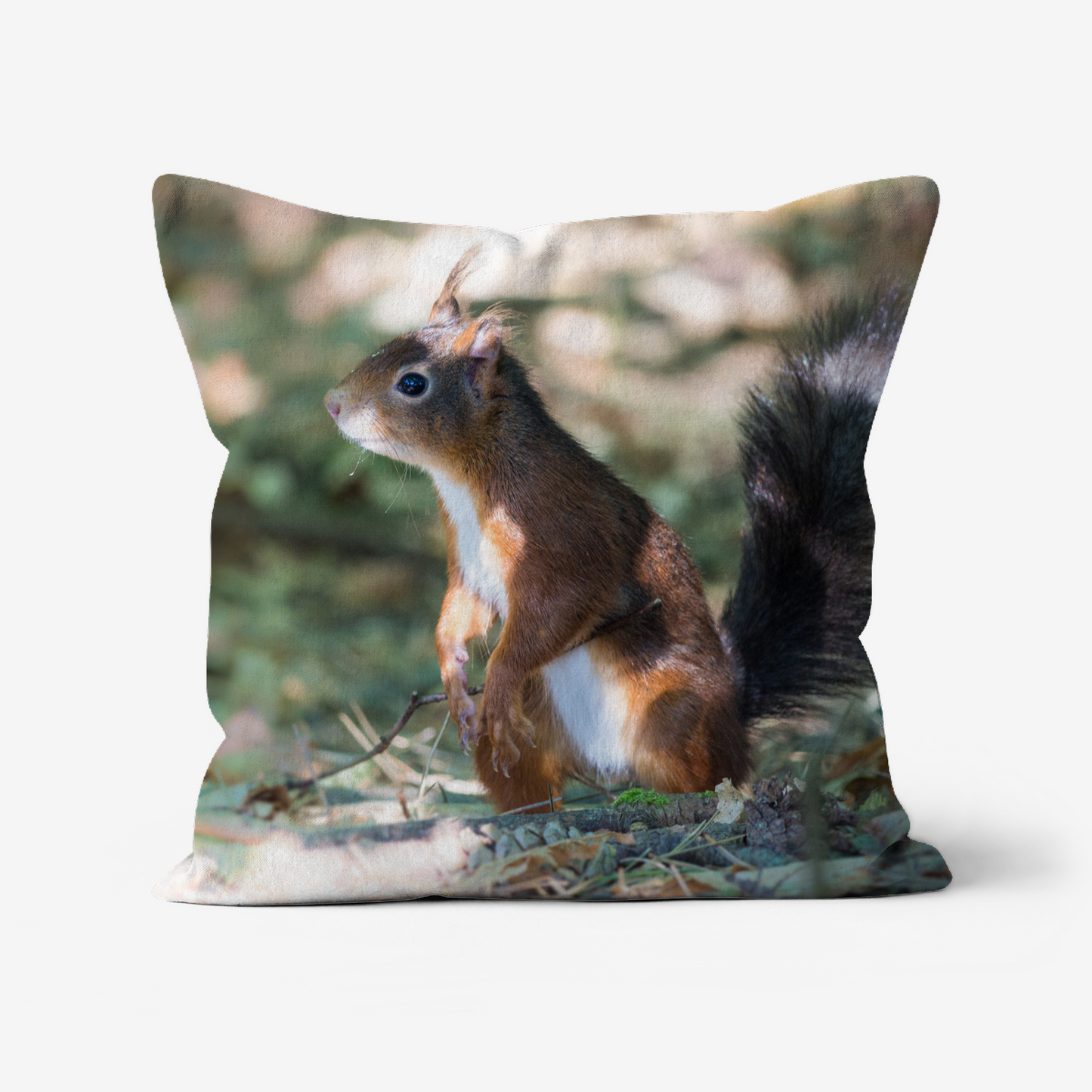 Red Squirrel - 46x46cm Double Sided Faux Canvas Cushion