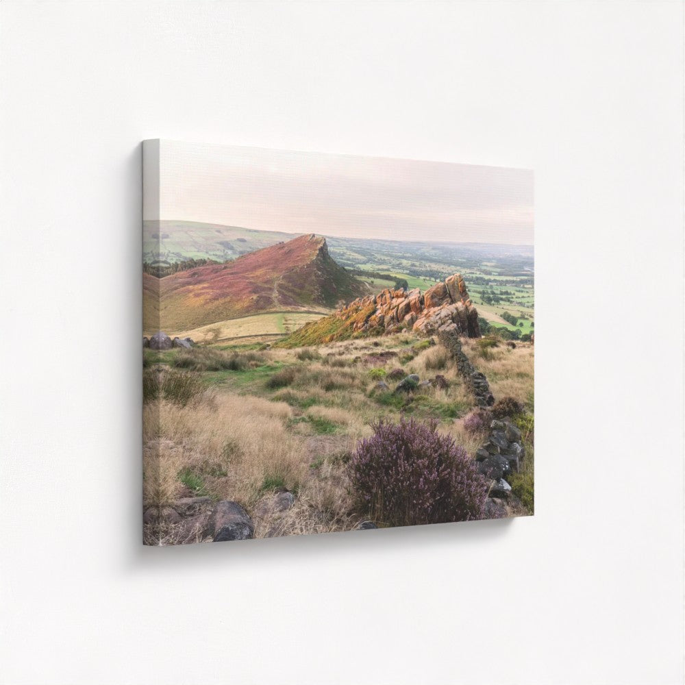 Heather on Hen Cloud, The Roaches - Print / Framed / Canvas Photographic Wall Art