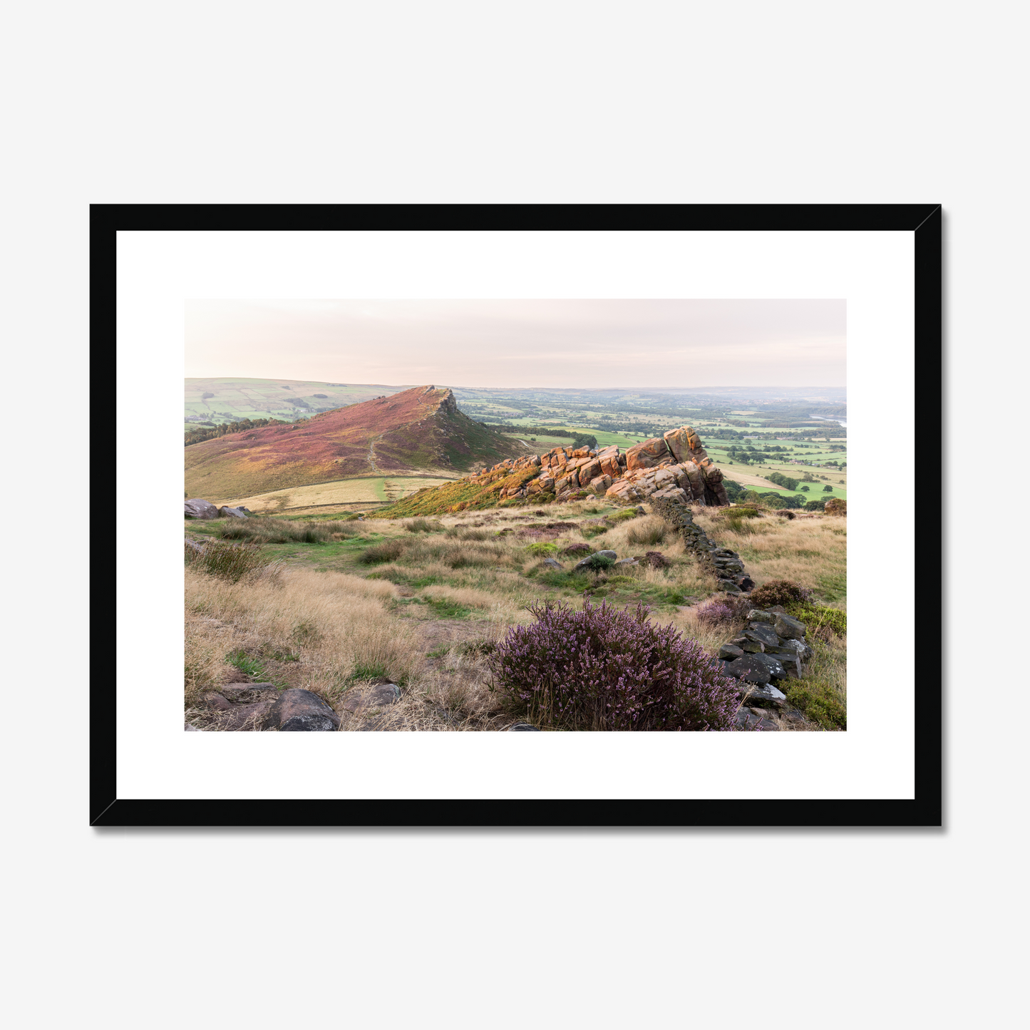 Heather on Hen Cloud, The Roaches - Print / Framed / Canvas Photographic Wall Art