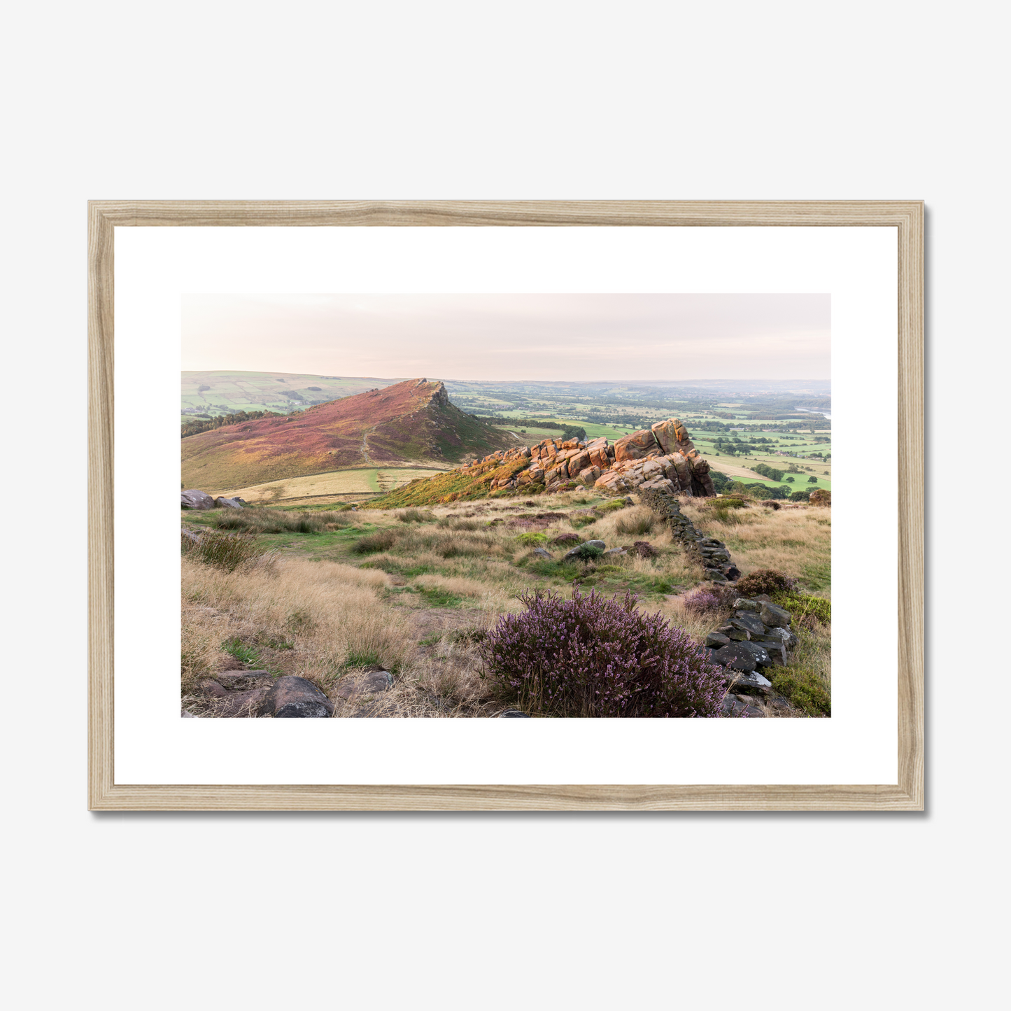 Heather on Hen Cloud, The Roaches - Print / Framed / Canvas Photographic Wall Art