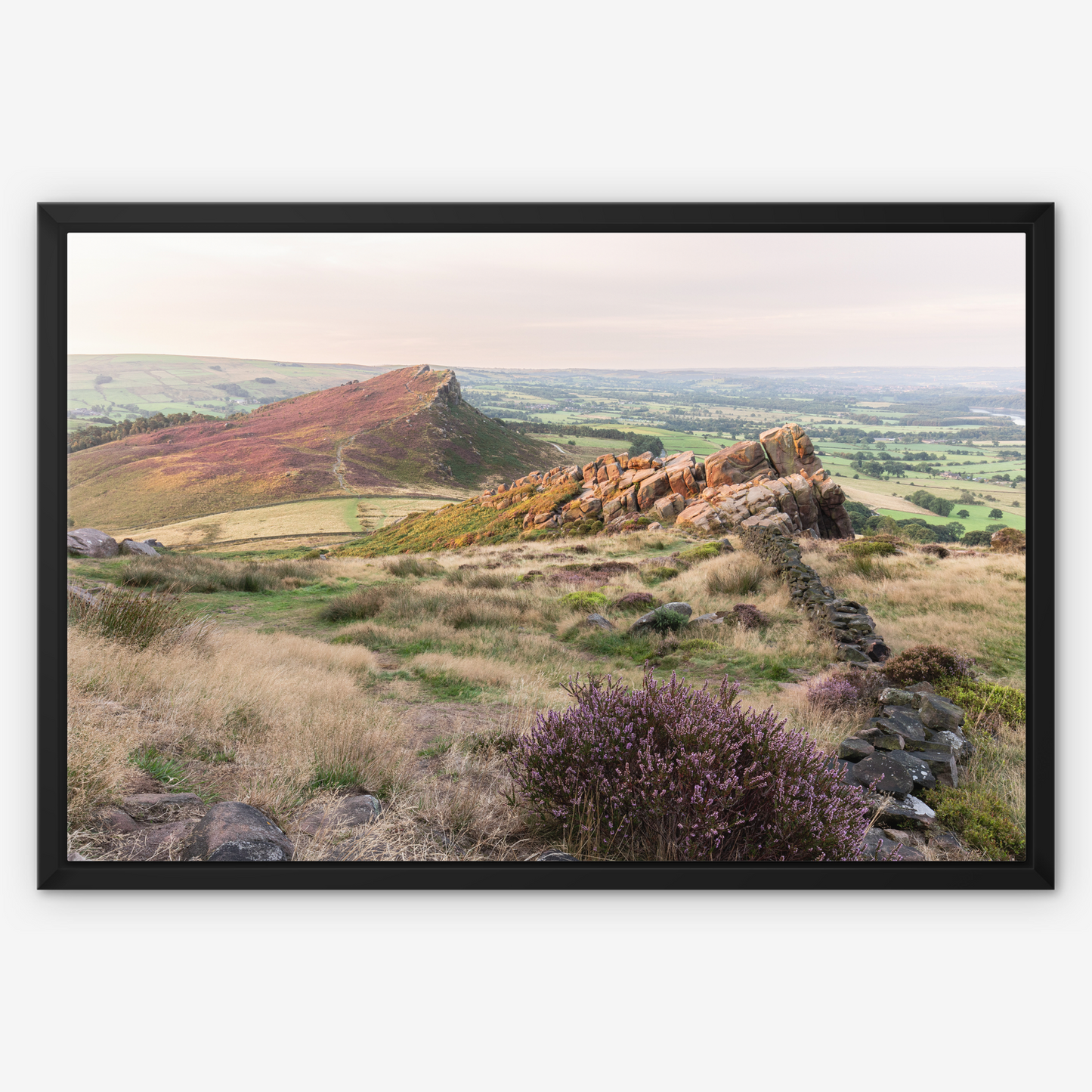 Heather on Hen Cloud, The Roaches - Print / Framed / Canvas Photographic Wall Art