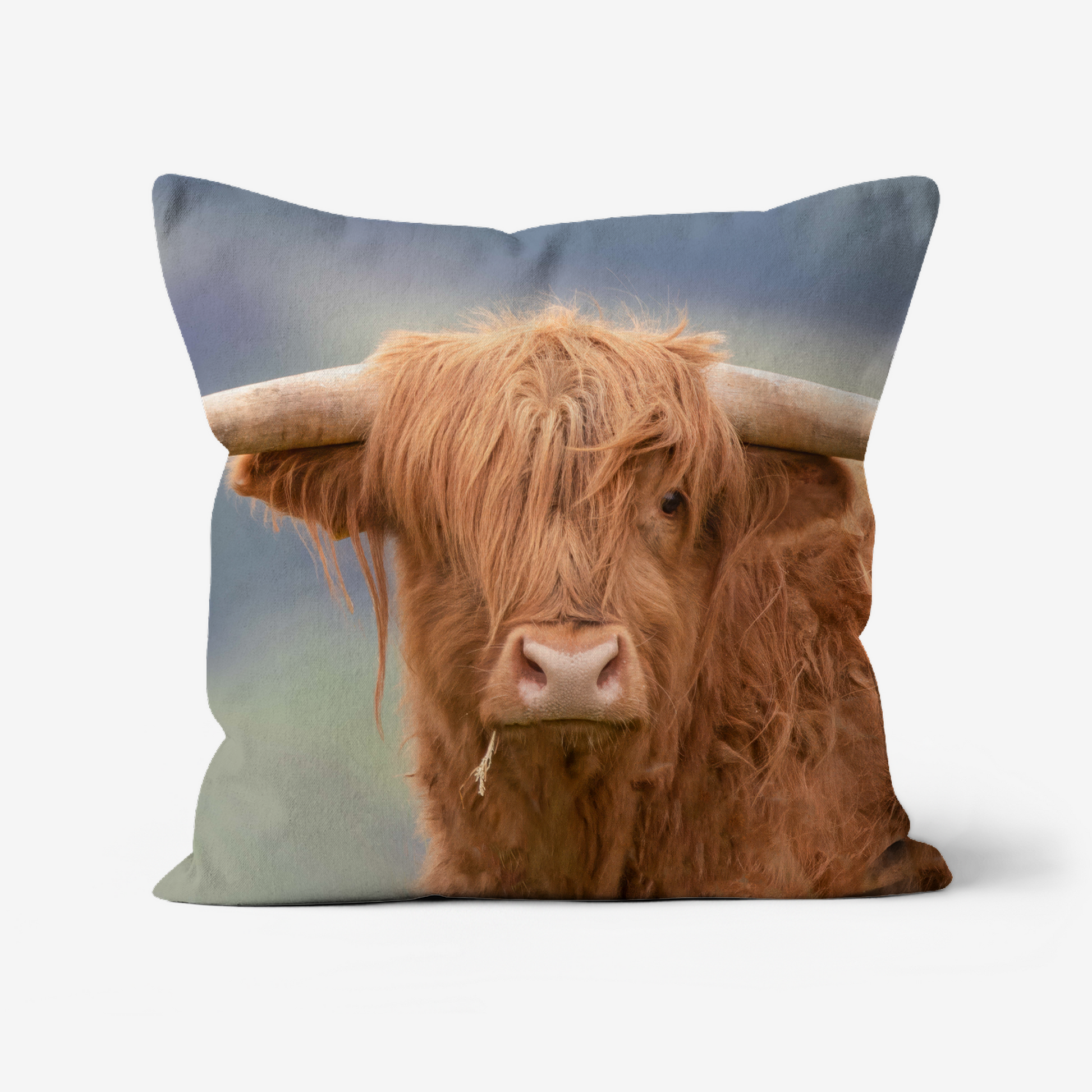Highland Cow Faux Suede Cushion