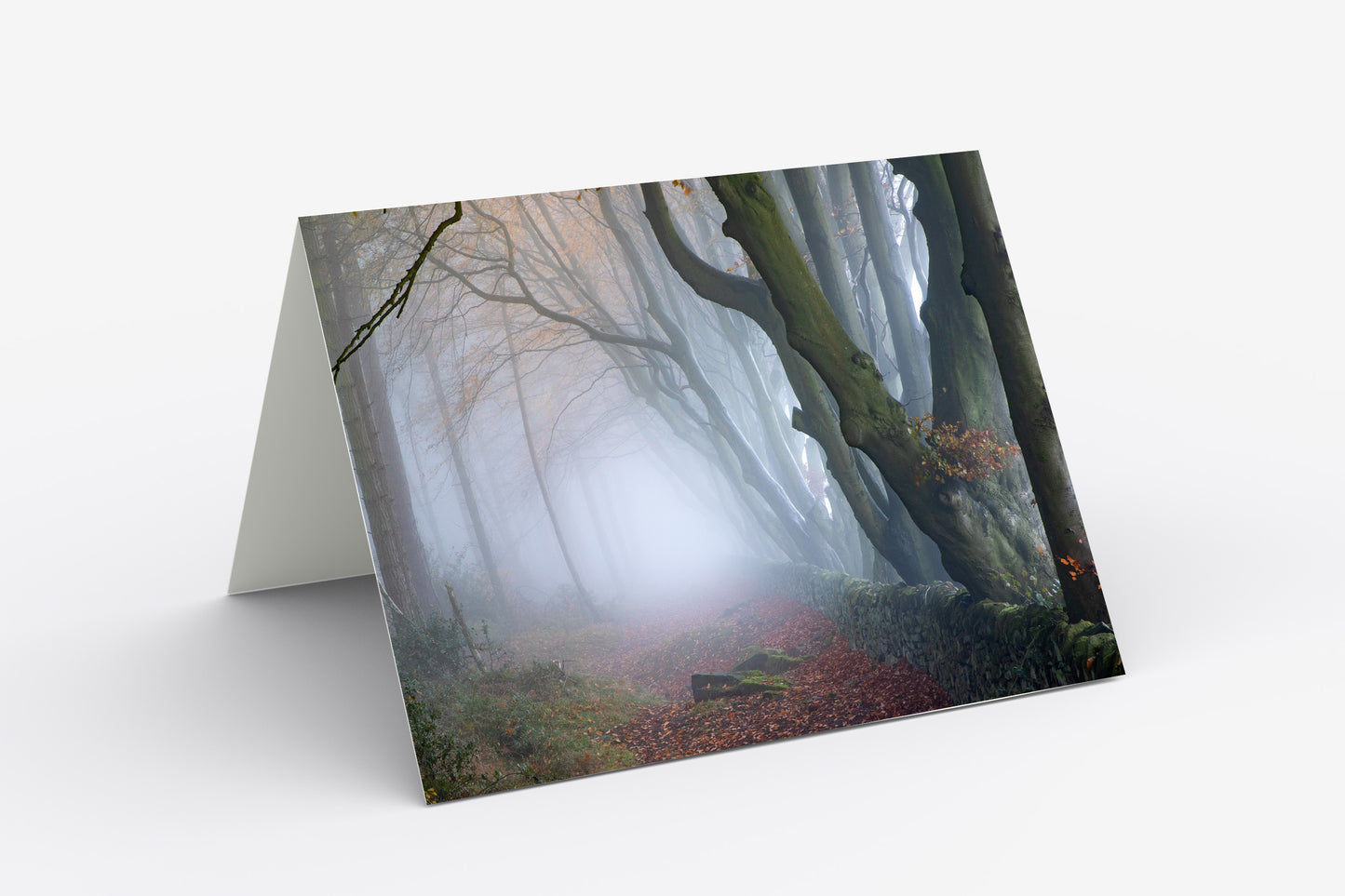 Misty Upper Moor, Matlock, Derbyshire - Blank Inside, A5 Greetings Card with Envelope