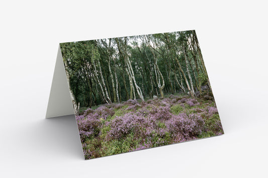 Stanton Moor Heather - Blank Inside, A5 Greetings Card with Envelope