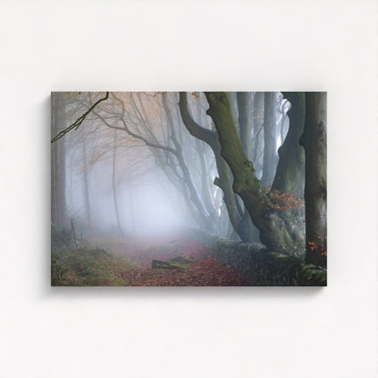 Misty Darwin Forest, Upper Moor, Peak District - Print / Framed / Canvas Photographic Wall Art