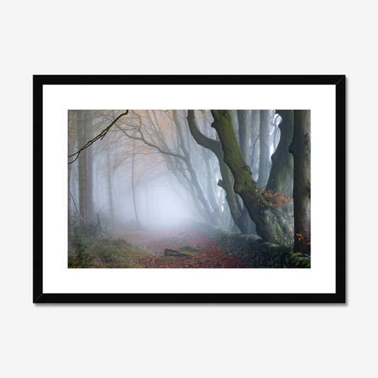 Misty Darwin Forest, Upper Moor, Peak District - Print / Framed / Canvas Photographic Wall Art