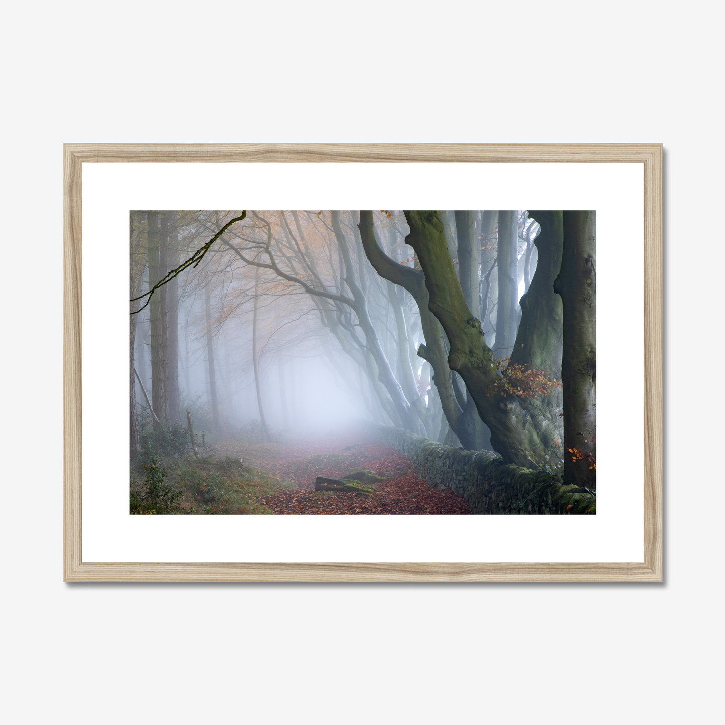 Misty Darwin Forest, Upper Moor, Peak District - Print / Framed / Canvas Photographic Wall Art