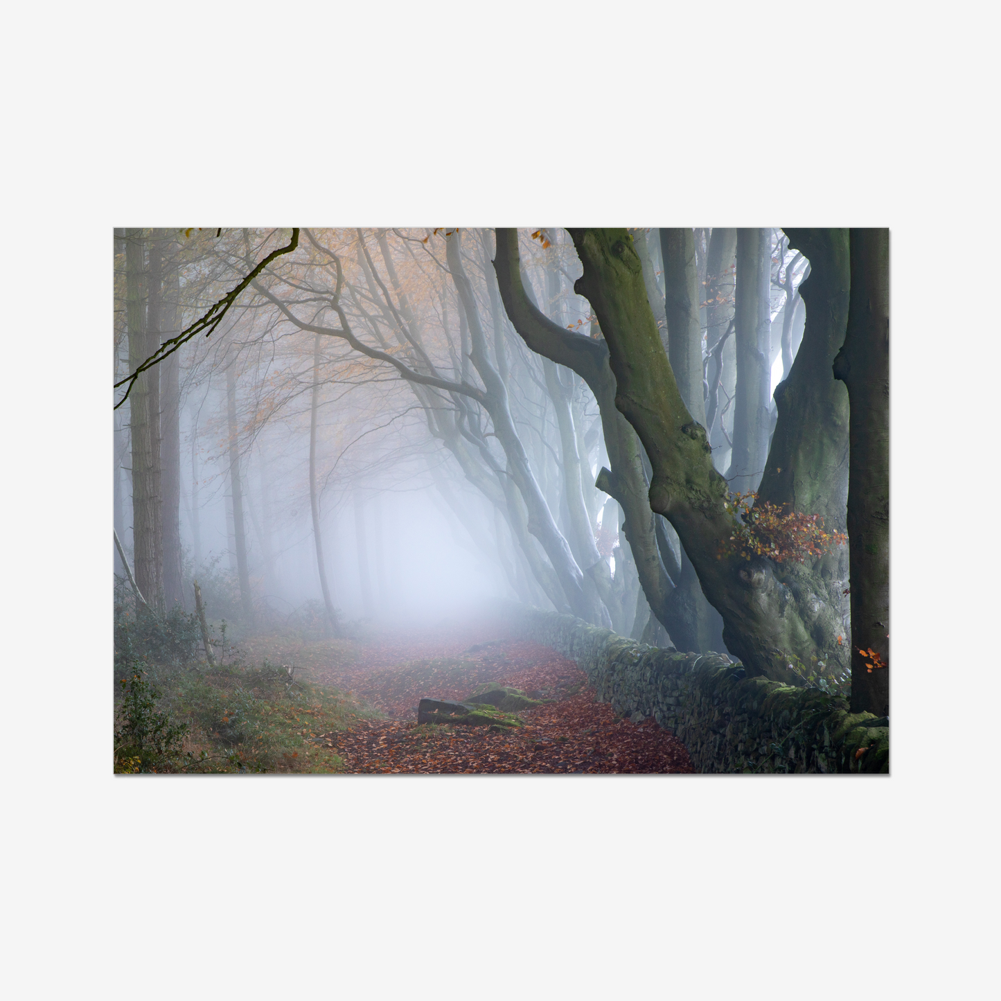 Misty Darwin Forest, Upper Moor, Peak District - Print / Framed / Canvas Photographic Wall Art