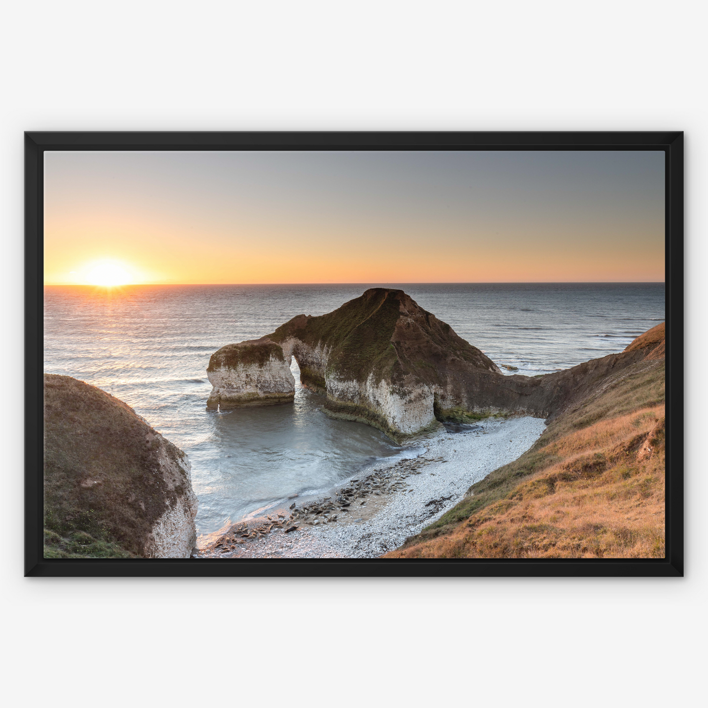 Drinking Dinosaur, Flamborough - Print / Framed / Canvas Photographic Wall Art