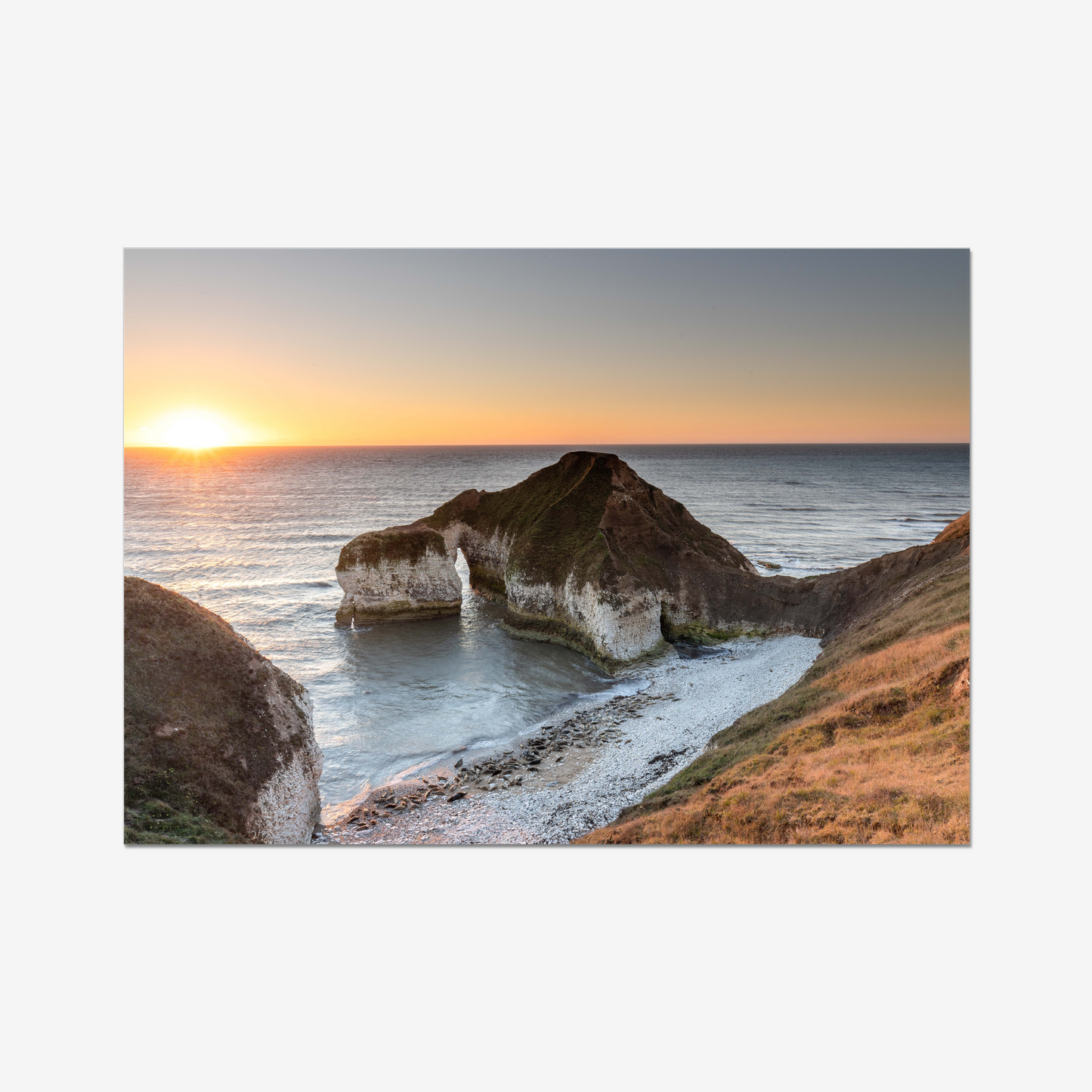 Drinking Dinosaur, Flamborough - Print / Framed / Canvas Photographic Wall Art