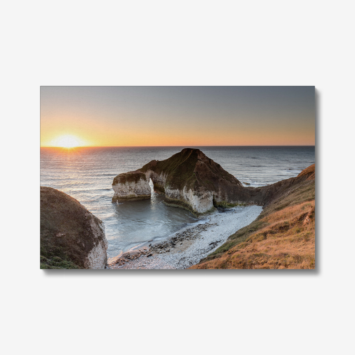 Drinking Dinosaur, Flamborough - Print / Framed / Canvas Photographic Wall Art