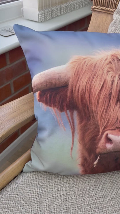 Highland Cow - 46x46cm Double Sided Faux Canvas Cushion